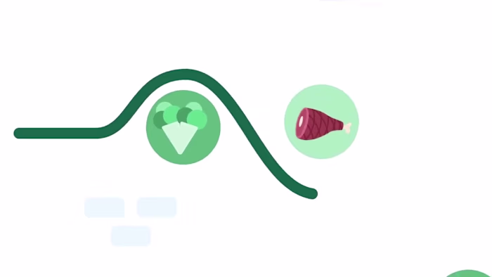 Weekmeals - Standard 2D SaaS Explainer Video