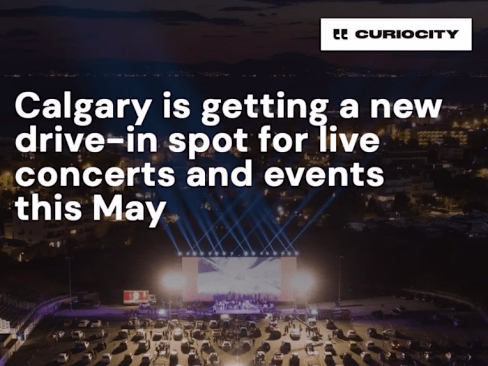 IG content creation/curation for 6 Curiocity accounts