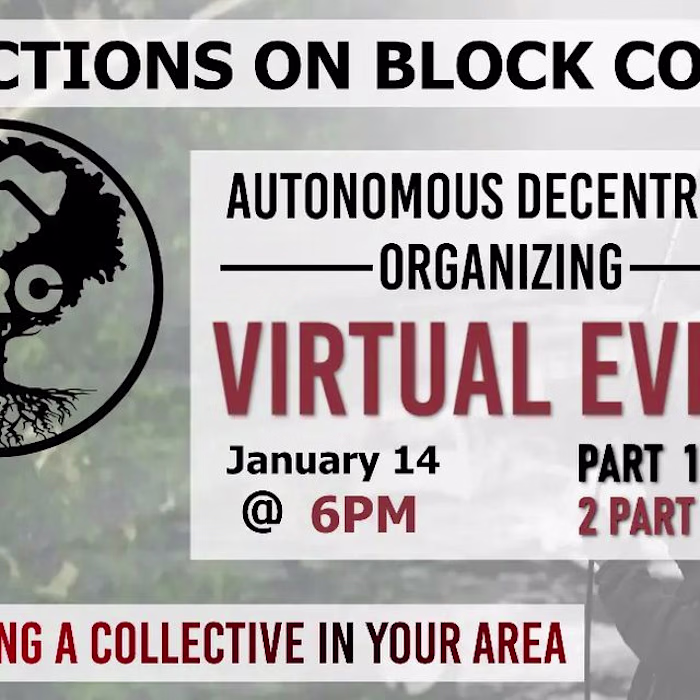 Branding: Deep Roots Collective