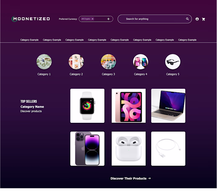 Template for a future ecommerce store