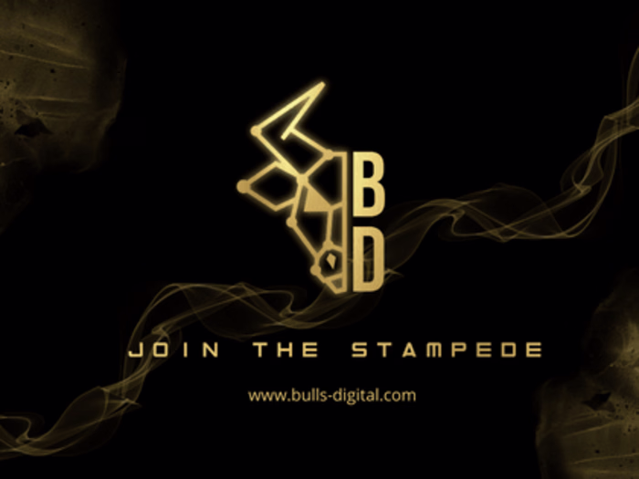 Bulls Digital | Your Global Partner in Business Growth