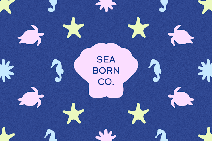 Seaborn Co. – A Sustainable Swimwear Brand Identity