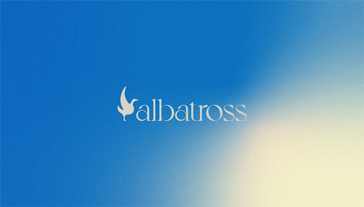 Cover image for Albatross Care Visual Identity