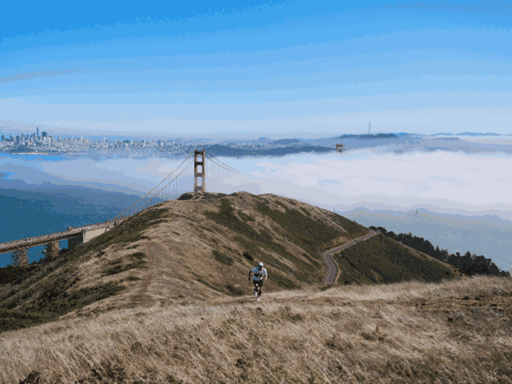Cover image for Parapack Branding Stills + Video