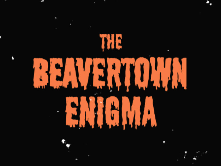 Cover image for Beavertown - The Enigma Case Study