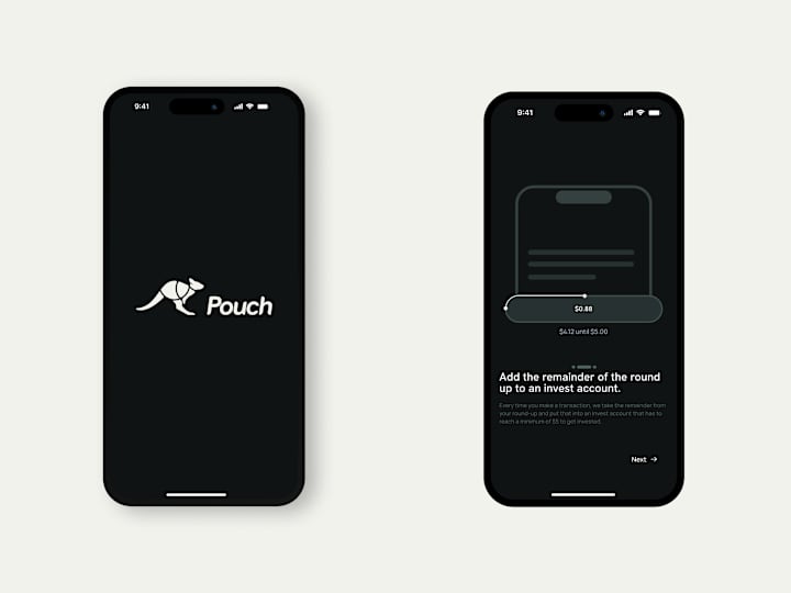 Cover image for Pouch