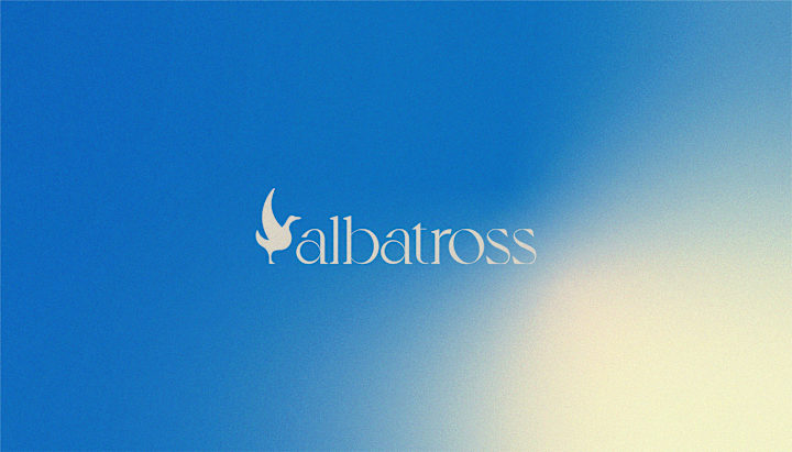 Cover image for Albatross Care Visual Identity