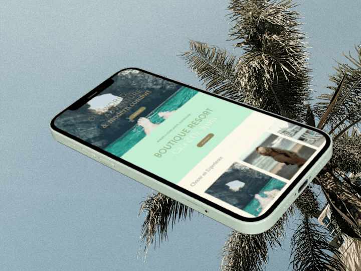 Cover image for The Palms Resort Brand + Web