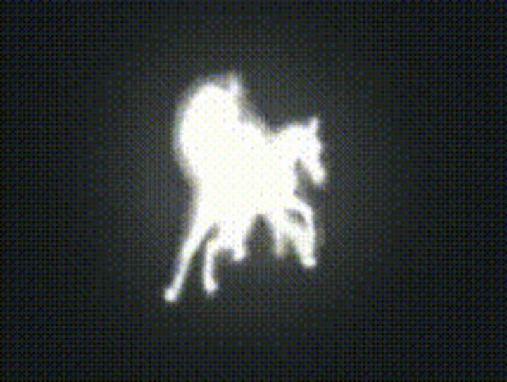 Cover image for SARINASNYDER.COM