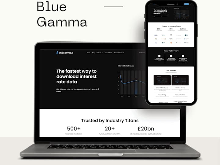 Cover image for BlueGamma-Webflow Development