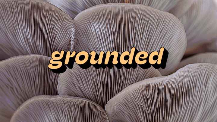 Cover image for Branding & Packaging: GROUNDED Superfood Mushroom Coffee