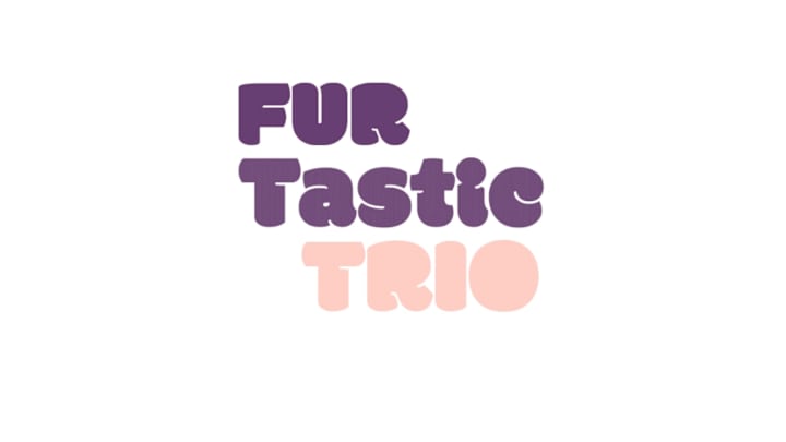 Cover image for Furtastic Trio | A Pet Brand Inspired by Love