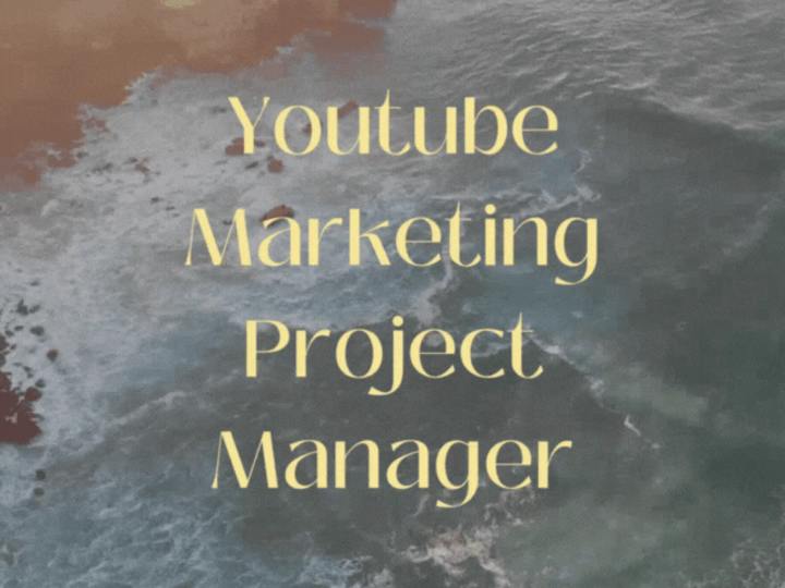 Cover image for Youtube Marketing Project Manager 📹