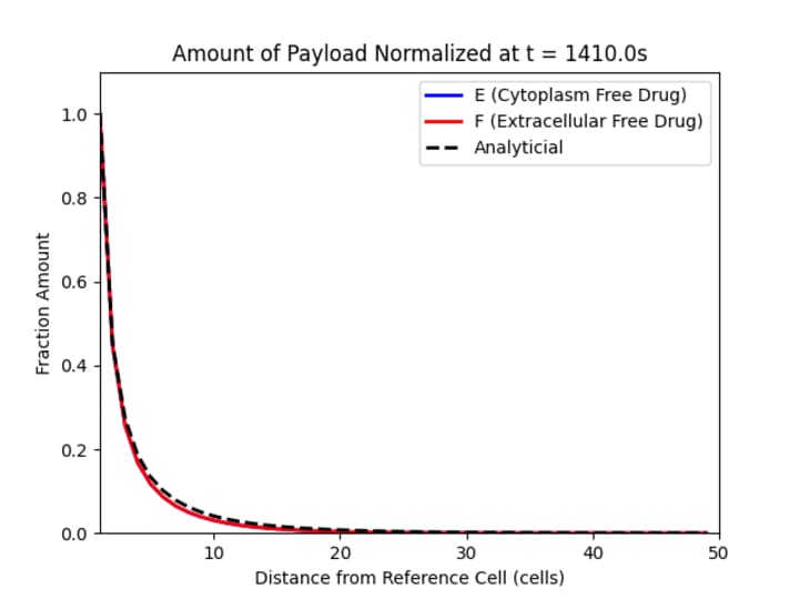 Cover image for Computational Model of Drug Dispersion in Tumors