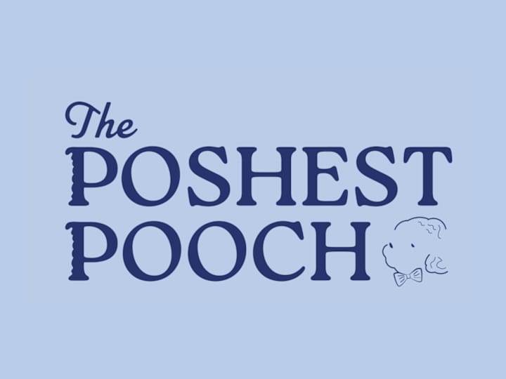 Cover image for The Poshest Pooch | Brand Identity for Mobile Dog Groomer