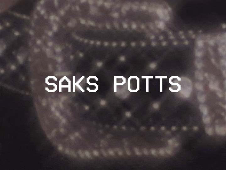 Cover image for SAKS POTTS
