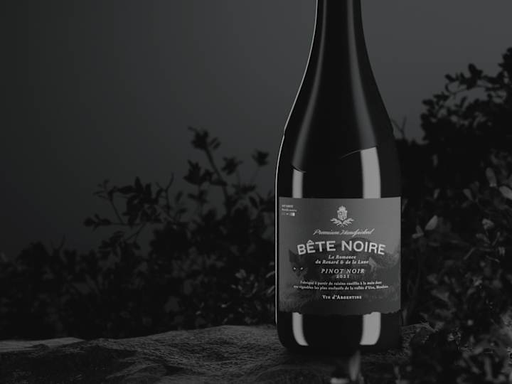 Cover image for Bête Noire | Label Design & Concept