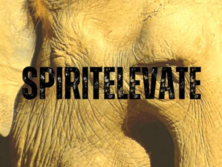 Cover image for SPIRITELEVATE | Web-Design & Blog Writing 🌐 📜