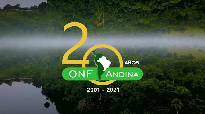 Cover image for ONF ANDINA | Realizador/Edición | 2022