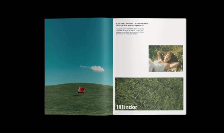 Cover image for Art Work Collection