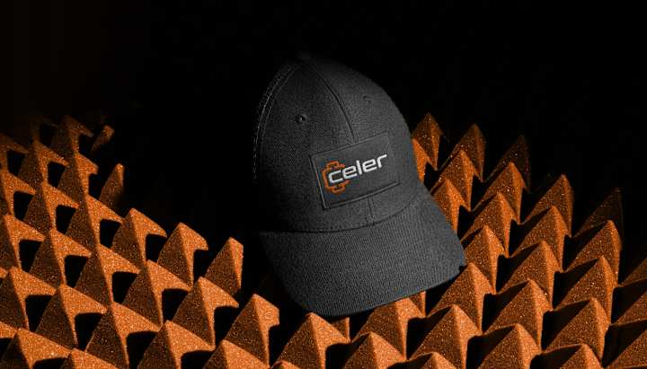 Cover image for Celerwheel Branding
