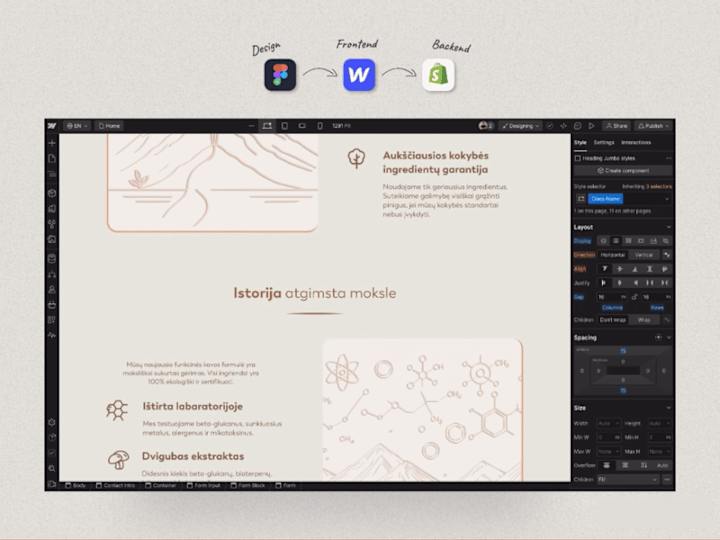 Cover image for Ryytas Coffee: A Premium Bilingual E-Commerce Platform