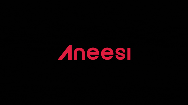 Cover image for Aneesi Creative Branding Suite & Design Guidelines