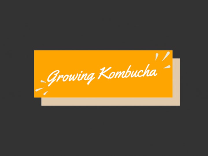 Cover image for SEO Content & Visuals For Growing Kombucha 🍯