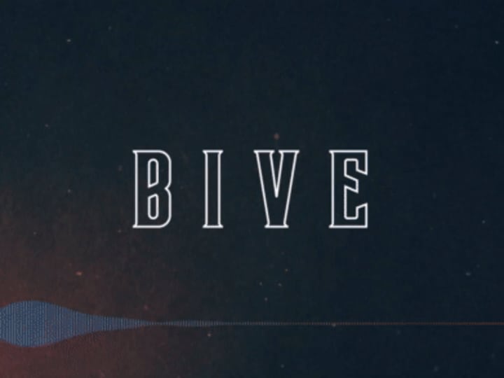 Cover image for 😎BIVE FEST