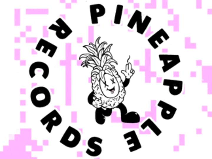 Cover image for Artwork, Illustrations and Animations for Pineapple Records, UK