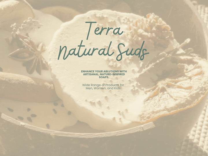 Cover image for Terra | Logo + Instagram Content Design