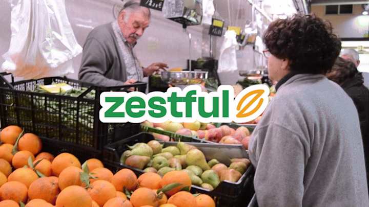 Cover image for Zestful Visual Identity