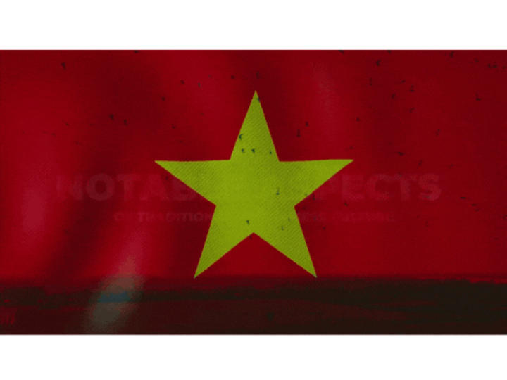 Cover image for Cinematic Youtube Video: Vietnamese Culture