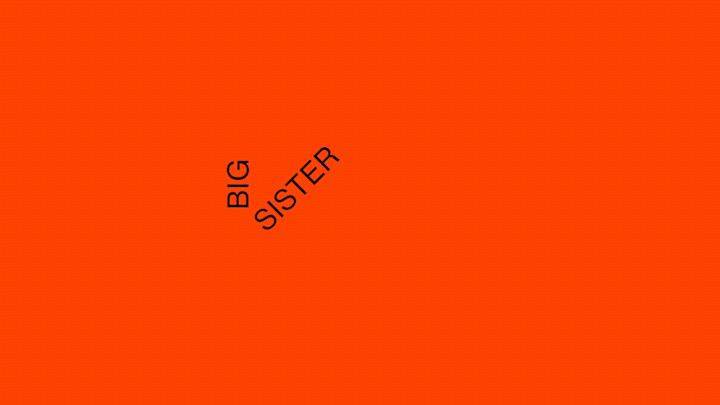 Cover image for Big Sister Productions: Brand Identity