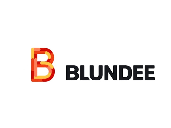 Cover image for Blundee