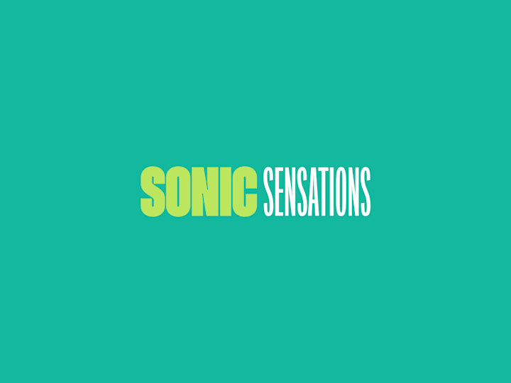 Cover image for SONIC SENSATIONS