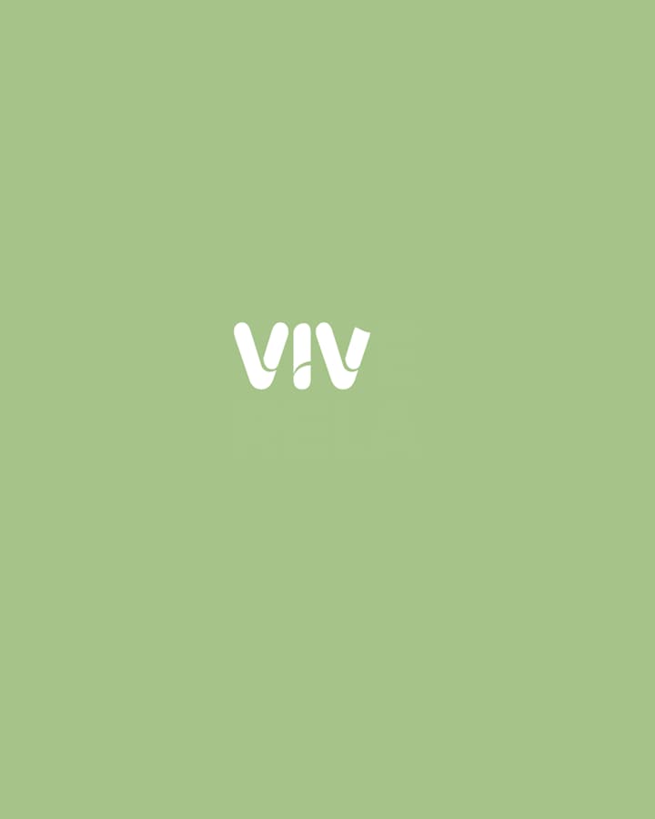 Cover image for Vive Rela - Tiny Houses - Branding Starter 