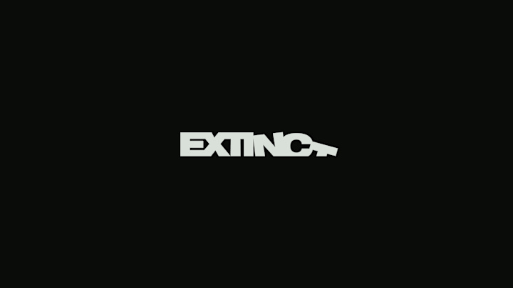 Cover image for Extinct Studio :: Behance