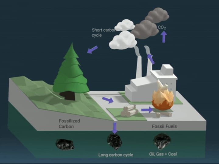 Cover image for Carbon cycle diagram - 3D Concept