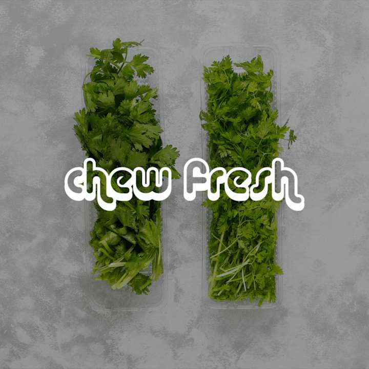 Cover image for ChewFresh | Brand Identity Design