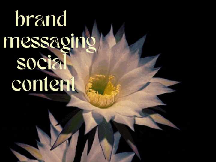 Cover image for Candid Brand Messaging Guidelines + TikTok Strategy/Execution 