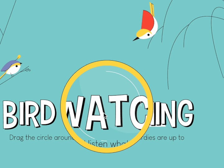 Cover image for Bird Watching