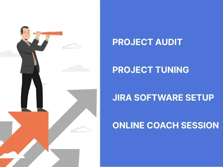 Cover image for Project audit and management