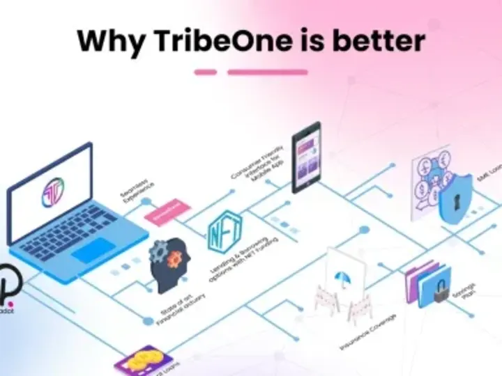 Cover image for TribeOne - NFT Funding, DeFi Borrowing and Lending Platform