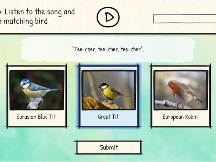 Cover image for BirdLingo - a birdsong learning game