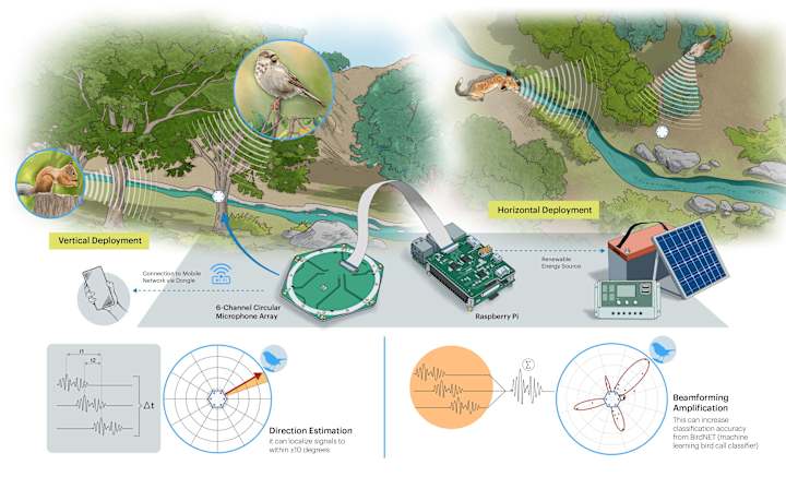 Cover image for Sensor for Biodiversity Study