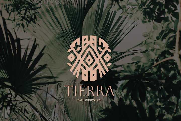 Cover image for Tierra Brand Project