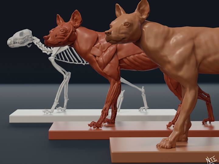 Cover image for 3D Sculptures Design