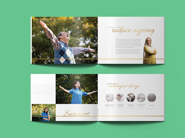 Cover image for Brochure/document design