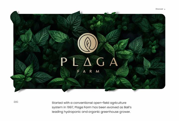 Cover image for Plaga Farm | Brand Identity